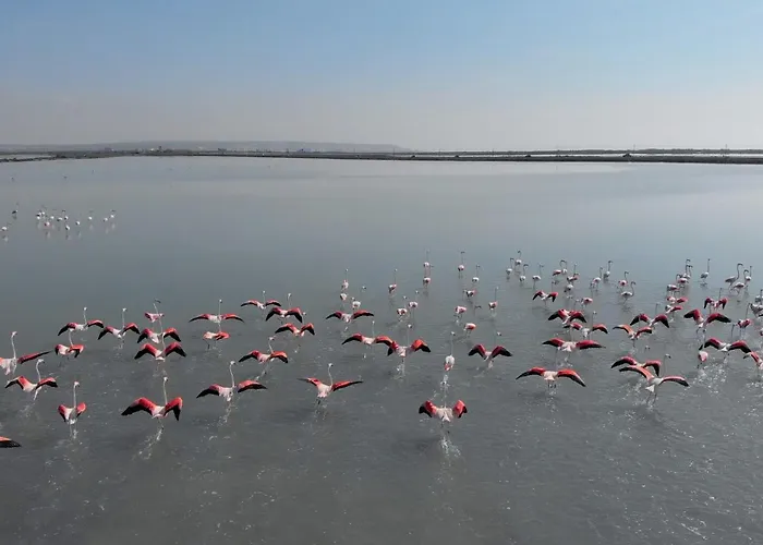 Cura Mar 2br Exterior 1ba 150m To The Cura